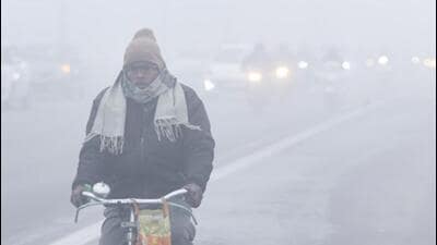 A cyclist makes his way through dense fog amid chilly conditions. Ten flights were delayed due to poor visibility at Chandigarh airport on Saturday morning. (ANI Photo)