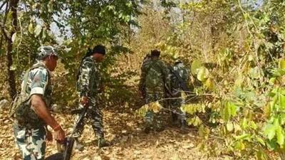 Gariaband’s forest has often been used as a transit route by Maoists, prompting intensified security measures in the region. (Representational image) Gariaband’s forest has often been used as a transit route by Maoists, prompting intensified security measures in the region. (Representational image)