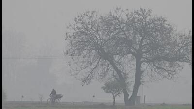 Ludhiana experienced the foggiest days of the season of late with visibility running very low on Friday evening and in the wee hours of Saturday. (Gurpreet Singh/HT)