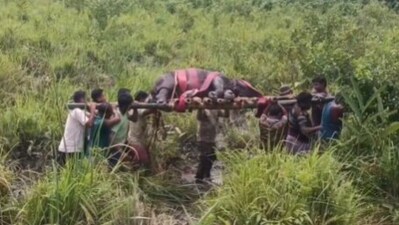 Forest officials saved a 600-700 kg rhino calf trapped in a swamp. (X/@ParveenKaswan) Forest officials saved a 600-700 kg rhino calf trapped in a swamp. (X/@ParveenKaswan)