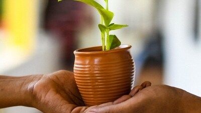Green finance (Pixabay)