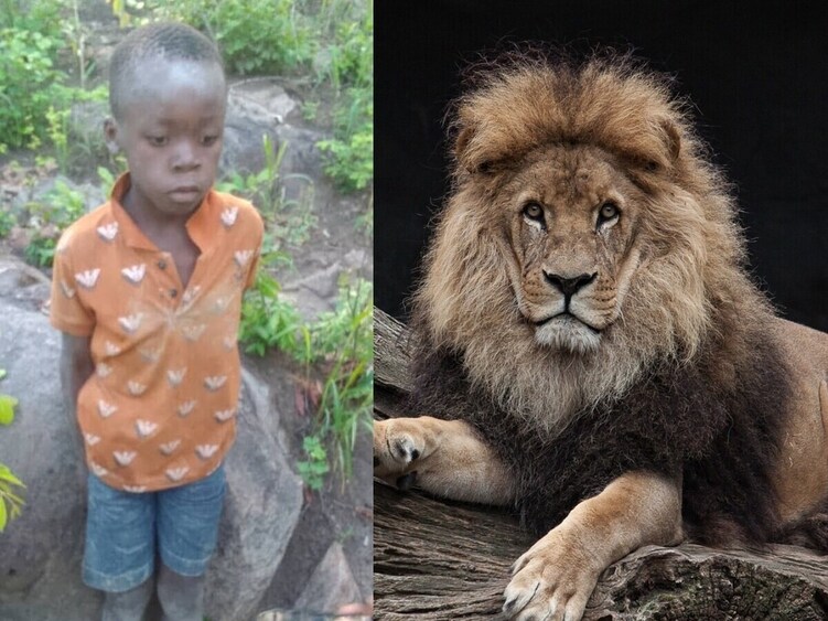 8-year-old boy survives five days lost in Zimbabwe's dangerous
