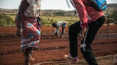 (Representative image) During a March 12, 2024, Yeida board meeting, which included senior officials from the three industrial authorities, it was decided that the committee would address pending disputes and leaseback issues of farmers’ Abadi land (AFP)