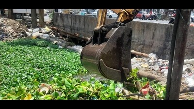 While the departments are busy passing the buck, residents are forced to contend with the growing mosquito menace. (MAHENDRA KOLHE/ HT PHOTO) While the departments are busy passing the buck, residents are forced to contend with the growing mosquito menace. (MAHENDRA KOLHE/ HT PHOTO)