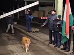 A video showed a stray dog walking from Hungary to Romania and being met with applause from officials. A video showed a stray dog walking from Hungary to Romania and being met with applause from officials.