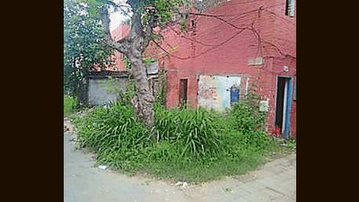 Councillor Dhingra said doors of these government quarters were broken, and the premises were being used round-the-clock for substance abuse. (HT Photo) Councillor Dhingra said doors of these government quarters were broken, and the premises were being used round-the-clock for substance abuse. (HT Photo)