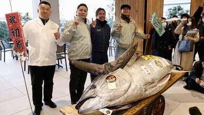Japanese sushi group Onodera paid $1.3M for a 276kg bluefin tuna at Tokyo's New Year auction. (X/@surgeonwaqas) Japanese sushi group Onodera paid $1.3M for a 276kg bluefin tuna at Tokyo's New Year auction. (X/@surgeonwaqas)