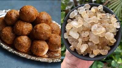 Gond ke laddu: The ultimate superfood winter snack! Gond ke laddu: The ultimate superfood winter snack!