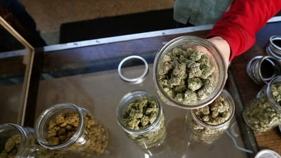 The carrier of the weed was nabbed soon after he arrived at the airport from Bangkok. Representative Image, REUTERS/Lucy Nicholson/File Photo (REUTERS)