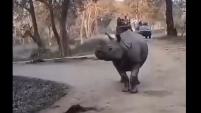 A mother-daughter duo narrowly avoided danger after falling near a charging rhino during a Kaziranga safari. (X)
