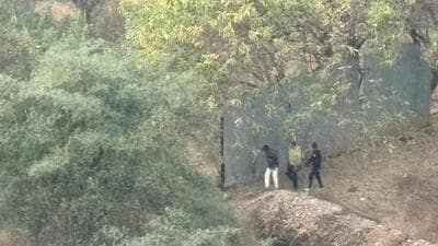 The incident took place on Sunday around 5:30 pm when the residents of the Undri area saw three people including two teenagers and one adult setting up fire to the dry grass in the forest area. (HT PHOTO) The incident took place on Sunday around 5:30 pm when the residents of the Undri area saw three people including two teenagers and one adult setting up fire to the dry grass in the forest area. (HT PHOTO)