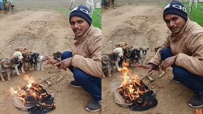 A man lit a bonfire to warm shivering puppies in the freezing cold. (Instagram/satyam_suryavanshi123) A man lit a bonfire to warm shivering puppies in the freezing cold. (Instagram/satyam_suryavanshi123)