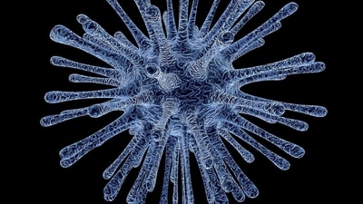 A child has been detected with HMPV infection at private hospital in Gujarat's Ahmedabad. (Pixabay/Representative) A child has been detected with HMPV infection at private hospital in Gujarat's Ahmedabad. (Pixabay/Representative)