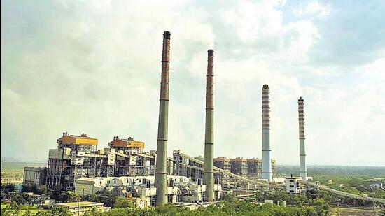 Singh assured that NTPC is ready to immediately purchase bamboo biomass and sign long-term agreements, offering a reliable market for farmers. (REPRESENTATIVE PHOTO)