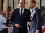 Harry and William's relationship was ‘not what we thought,’ royal expert busts ‘myth’ (AP Photo/Martin Meissner, File)