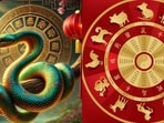 2025 is the year of the snake as per the Chinese zodiac: What does it hold for you? 2025 is the year of the snake as per the Chinese zodiac: What does it hold for you?