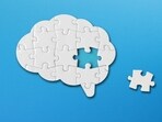 Why do we have 86 billion neurons if we're processing conscious information at the speed of a 1980s modem? 