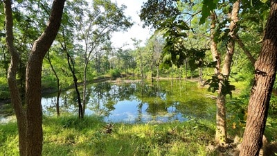 A waterhole at Reni Pani (Veidehi Gite) A waterhole at Reni Pani (Veidehi Gite)