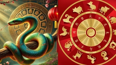 2025 is the year of the snake as per the Chinese zodiac: What does it hold for you?