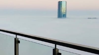 A photo shared by Indian journalist and writer Manu Joseph shows the intensity of fog in Gurgaon with almost no buildings visible. (X/manujosephsan) A photo shared by Indian journalist and writer Manu Joseph shows the intensity of fog in Gurgaon with almost no buildings visible. (X/manujosephsan)