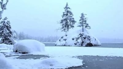 A tricky optical illusion featuring a hidden polar bear in a snowy scene went viral. (Instagram/br4inteaserhub) A tricky optical illusion featuring a hidden polar bear in a snowy scene went viral. (Instagram/br4inteaserhub)