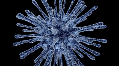 A child has been detected with HMPV infection at private hospital in Gujarat's Ahmedabad. (Pixabay/Representative) A child has been detected with HMPV infection at private hospital in Gujarat's Ahmedabad. (Pixabay/Representative)