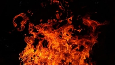 The fire was confined to the electric wiring, electric installations and household articles in the flat. (Pixabay/Representative) The fire was confined to the electric wiring, electric installations and household articles in the flat. (Pixabay/Representative)