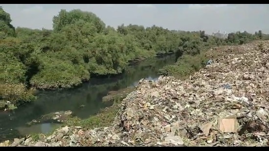 Restore 4 Bhiwandi wetlands turned into dumps: Green tribunal to Thane collector