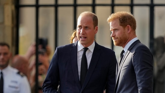 Harry and William's relationship was ‘not what we thought,’ royal expert busts ‘myth’ (AP Photo/Martin Meissner, File) (AP)