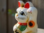 Read your lucky horoscope based on your Chinese zodiac sign. (Representative image of Maneki neko). Read your lucky horoscope based on your Chinese zodiac sign. (Representative image of Maneki neko).