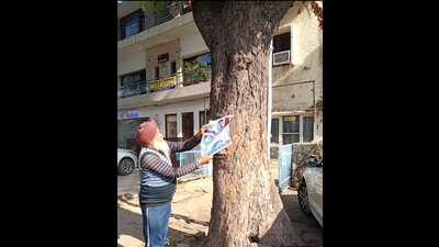 A worker from the horticulture team of municipal corporation removing an advertisement poster from a tree in Chandigarh on Wednesday. (HT Photo)