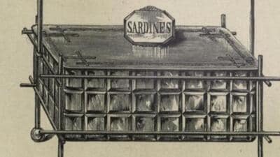 Advertisements published in Bombay newspapers in the early twentieth century indicate that sardine boxes were carried during car travel. (Sourced) Advertisements published in Bombay newspapers in the early twentieth century indicate that sardine boxes were carried during car travel. (Sourced)