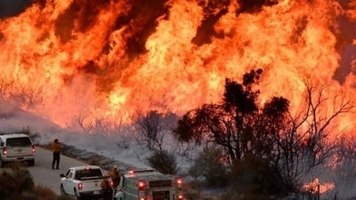 About 20 miles (32 km) west of downtown Los Angeles, the neighbourhood that surrounds Malibu consists of narrow lanes that snake down to beaches along the Pacific Ocean and hillside neighbourhoods with densely populated homes tucked away against the Santa Monica Mountains. (Reuters Photo)