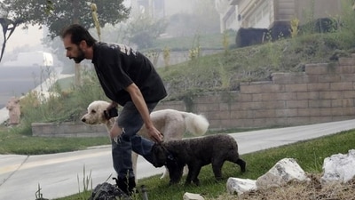 A resident evacuates with his dogs as a wildfire approaches. Residents said they barely had time to gather their belongings as the ferocious fire approached their homes. “We looked up the hill and couldn’t believe what we saw,” ranch owner Dwight Monson, 68, told the Los Angeles Times, saying the fire moved 14 miles in five hours before destroying four homes and a barn on his property.&nbsp; (Marcio Jose Sanchez / AP))