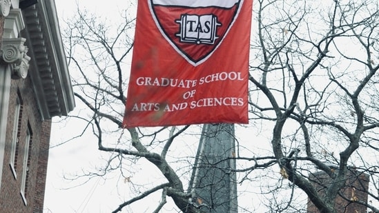 Planning to pursue law at Harvard Law School? Here are a few degree programs that all law aspirants can consider. (Unsplash)