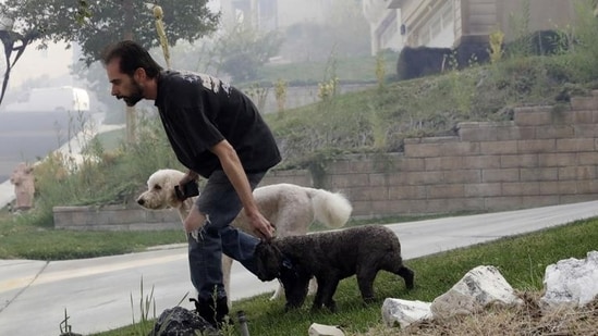 A resident evacuates with his dogs as a wildfire approaches. Residents said they barely had time to gather their belongings as the ferocious fire approached their homes. “We looked up the hill and couldn’t believe what we saw,” ranch owner Dwight Monson, 68, told the Los Angeles Times, saying the fire moved 14 miles in five hours before destroying four homes and a barn on his property.&nbsp;(Marcio Jose Sanchez / AP))