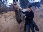 Rescuers evacuate horses during the Eaton Fire in Altadena, California, US, on Wednesday, Jan. 8, 2025. The most destructive wind storm to strike the Los Angeles area in 14 years. Rescuers evacuate horses during the Eaton Fire in Altadena, California, US, on Wednesday, Jan. 8, 2025. The most destructive wind storm to strike the Los Angeles area in 14 years.