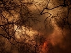 The ongoing wildfires have also brought attention to Southern California's drought conditions, which have been exacerbated by climate change. While Northern California has seen heavy rainfall, Southern California has been experiencing significant dryness, with Los Angeles County now in a moderate drought.&nbsp;