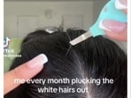 Plucking white hair may not be as worrisome as thought before. Plucking white hair may not be as worrisome as thought before.
