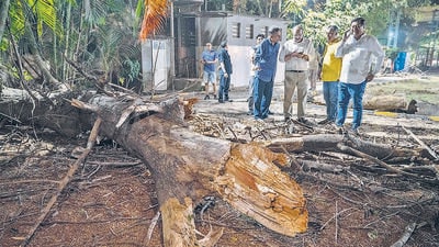 Mumbai, India - Jan. 9, 2025: A 60 year old woman died while another was injured after a branch of a dead tree in a private garden fell on them. The women were rushed to Rajawadi Hospital in Mumbai, India, on Thursday, January 9, 2025. (Photo by Satish Bate/ Hindustan Times) (Hindustan Times) Mumbai, India - Jan. 9, 2025: A 60 year old woman died while another was injured after a branch of a dead tree in a private garden fell on them. The women were rushed to Rajawadi Hospital in Mumbai, India, on Thursday, January 9, 2025. (Photo by Satish Bate/ Hindustan Times) (Hindustan Times)