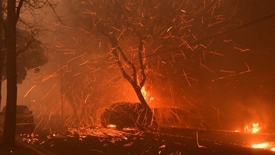 Fires in Eaton and the Pacific Palisades have not been contained at all despite efforts from the LA fire department (Robyn Beck / AFP) Fires in Eaton and the Pacific Palisades have not been contained at all despite efforts from the LA fire department (Robyn Beck / AFP)