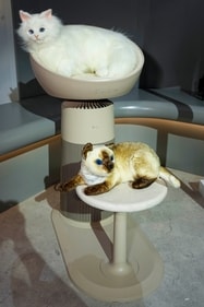 LG's AeroCatTower is displayed in the LG booth at CES 2025 Wednesday, Jan. 8, 2025, in Las Vegas. (Jack Dempsey/AP Images for LG) LG's AeroCatTower is displayed in the LG booth at CES 2025 Wednesday, Jan. 8, 2025, in Las Vegas. (Jack Dempsey/AP Images for LG)