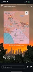 LA wildfires. (Pratik Bhakta) LA wildfires. (Pratik Bhakta)