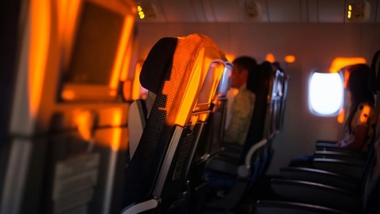 Fellow passengers restrained a man who opened the plane's door (representative image). (Unsplash/laowai66)