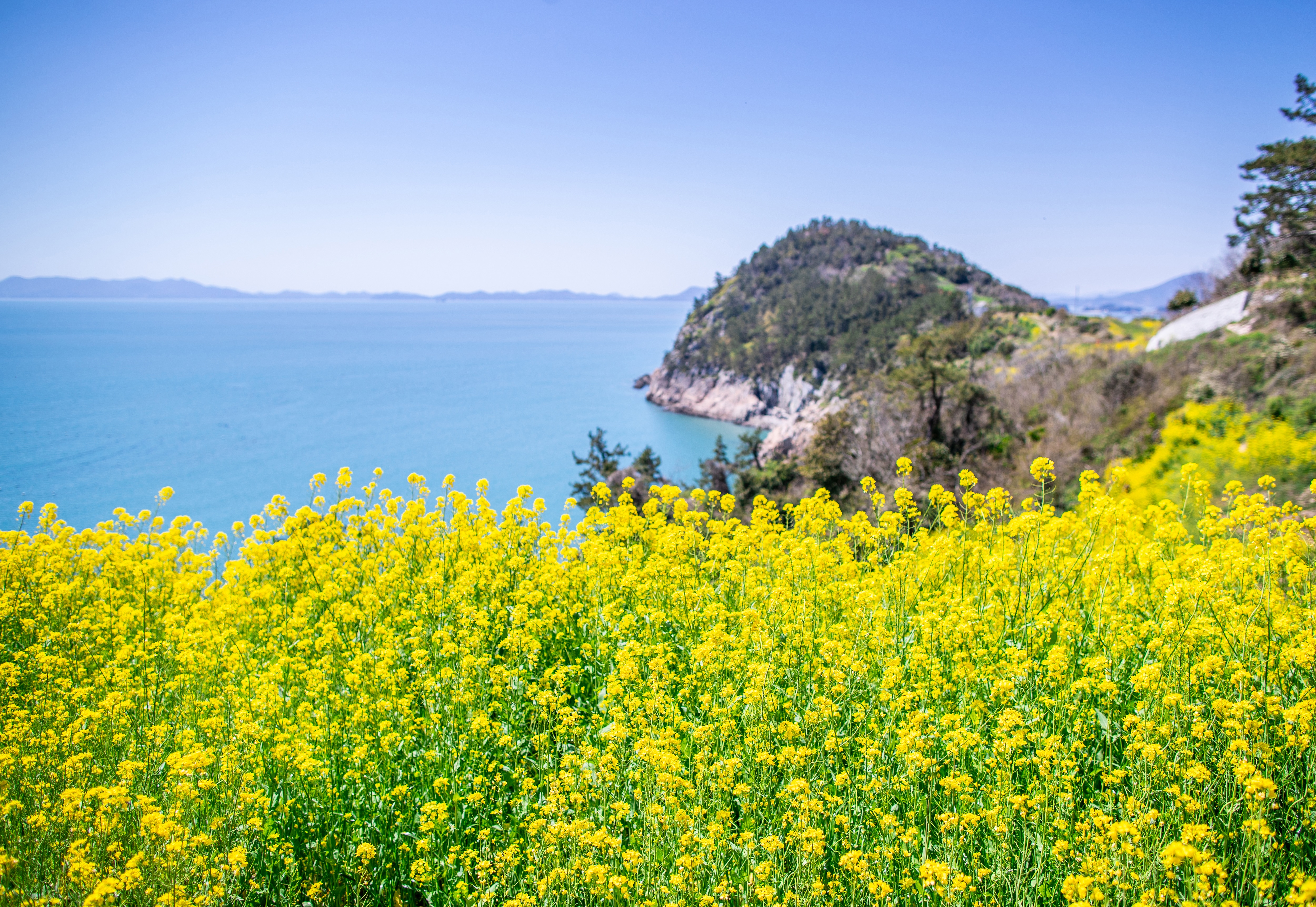 View from a small village in South Korea (Shutterstock) View from a small village in South Korea (Shutterstock)