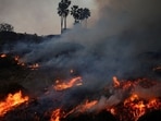FILE PHOTO: Smoke rises as a wildfire burns in the Pacific Palisades neighborhood of west Los Angeles, California, January 7, 2025. REUTERS/Daniel Cole/File Photo