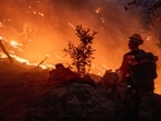 A firefighter battles the fire in the Angeles National Forest near Mt. Wilson as the wildfires burn in the Los Angeles area, during the Eaton Fire in Altadena, California, U.S. January 9, 2025. REUTERS/Ringo Chiu(REUTERS)
