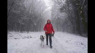 Katarzyna Pupin walking her dalmatian dog Chad in Slade Valley, Co Dublin (Brian Lawless/PA) Katarzyna Pupin walking her dalmatian dog Chad in Slade Valley, Co Dublin (Brian Lawless/PA)