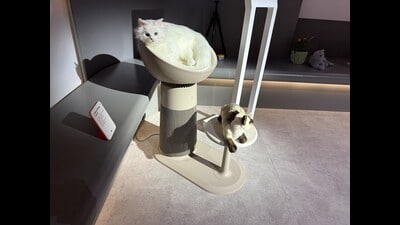 LG AeroCatTower (Martyn Landi/PA)