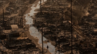 A person walks amid the destruction left behind by the Palisades Fire in the Pacific Palisades neighborhood of Los Angeles, Thursday, Jan. 9, 2025. (AP Photo/Jae C. Hong) A person walks amid the destruction left behind by the Palisades Fire in the Pacific Palisades neighborhood of Los Angeles, Thursday, Jan. 9, 2025. (AP Photo/Jae C. Hong)